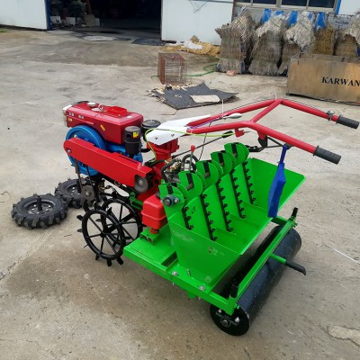 大蒜播種機(jī) 小型大蒜播種機(jī) 株距可調(diào)播蒜機(jī)