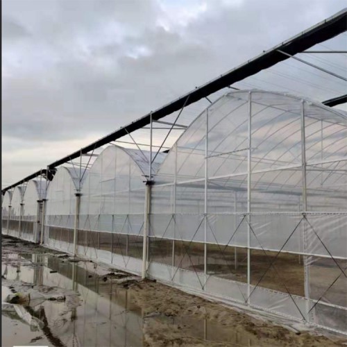 育苗溫室 連棟溫室大棚 薄膜連棟大棚