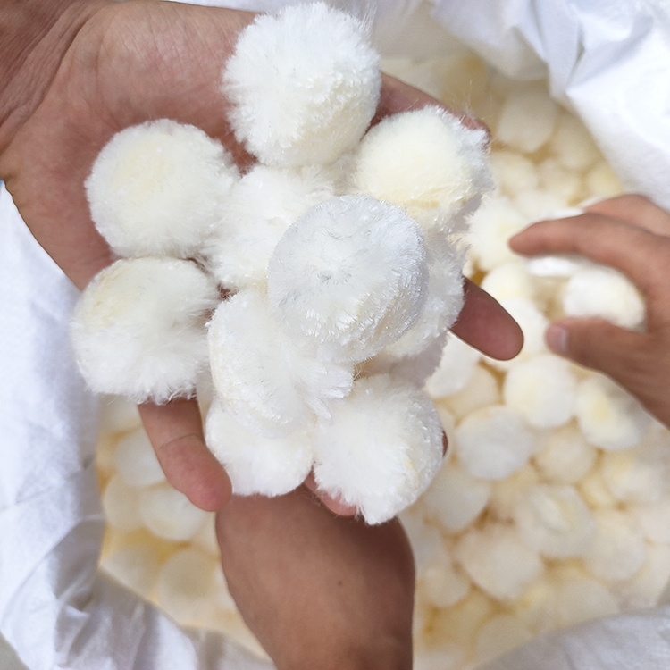 纖維球750+750 (75)