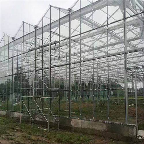 連棟智能玻璃溫室大棚建造商 連棟智能溫室造價成本