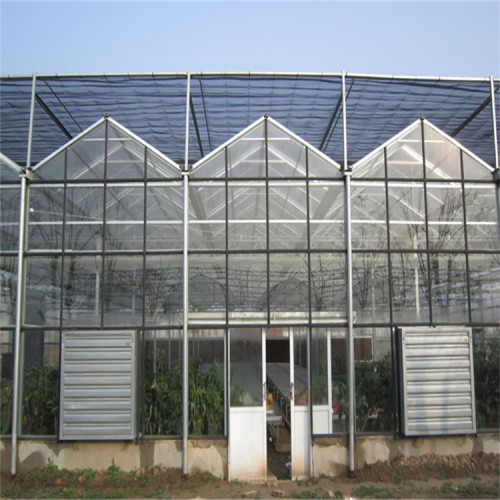 連棟溫室大棚工程 建造連棟溫室大棚 連棟溫室大棚造價成本