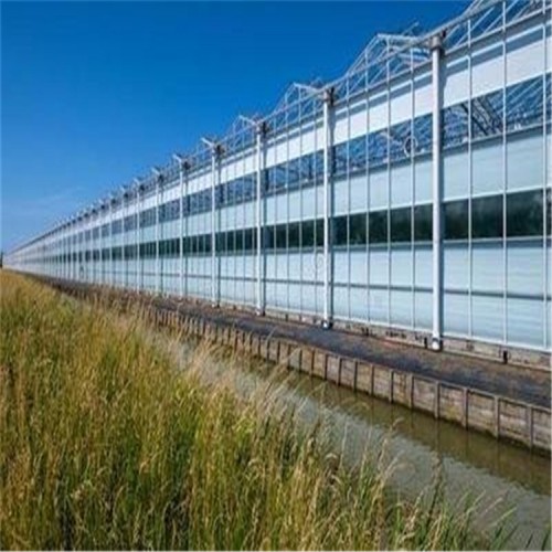 陽光板溫室大棚工程 陽光板溫室供應商 溫室大棚定制