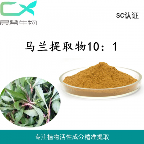 廠(chǎng)家直銷(xiāo)馬蘭提取物10：1馬蘭粉水溶或醇溶起訂1kg現(xiàn)貨
