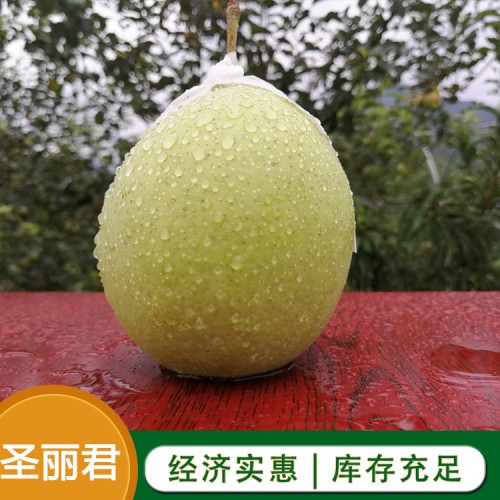 金花梨，北京梨