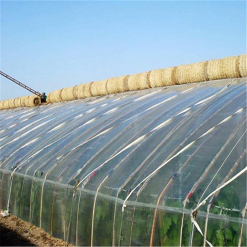 新型日光溫室大棚工程 蔬菜大棚建設(shè)廠家 日光溫室大棚