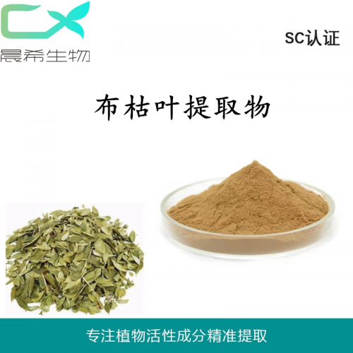 廠家直銷布枯葉提取物布枯葉粉 布枯葉黃酮1kg起訂全國包郵