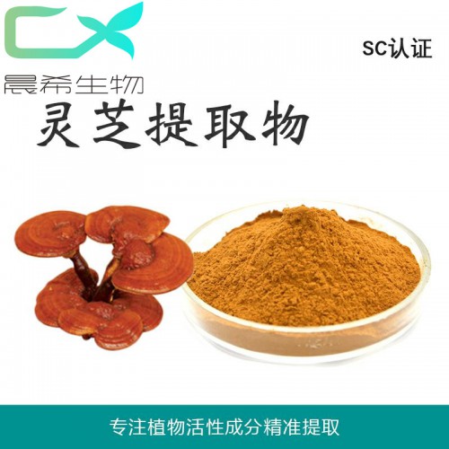 廠家直銷靈芝提取物10：1靈芝粉水溶或醇溶起訂1KG包郵