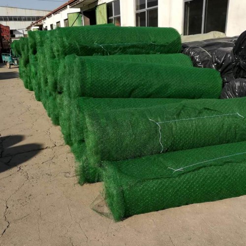 大連三維植被網(wǎng)