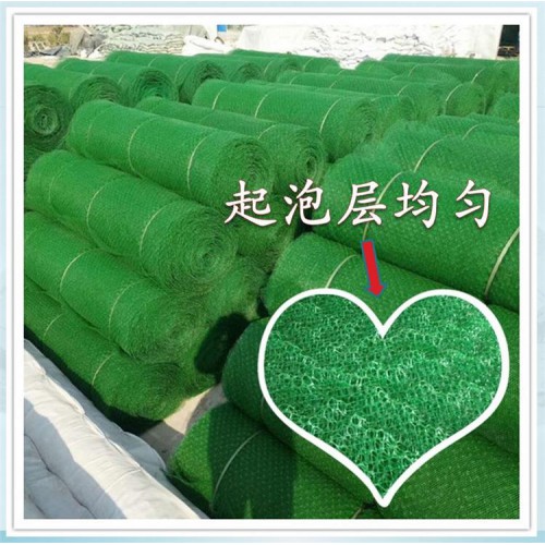 阜陽三維植被網廠家