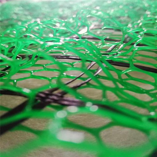 梧州三維植被網 三維網廠家