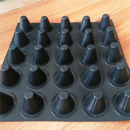 黑色排水板 屋頂綠化排水板