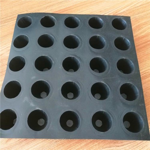 塑料防護排水板 防滲耐根刺排水板 ?