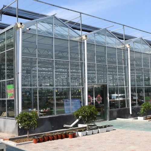 現(xiàn)代智能溫室大棚建造商 連棟智能溫室工程 智能溫室的優(yōu)勢(shì)