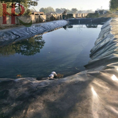 短纖土工布0.7mm防滲膜養(yǎng)豬場1.2mm沼液池防滲膜工程