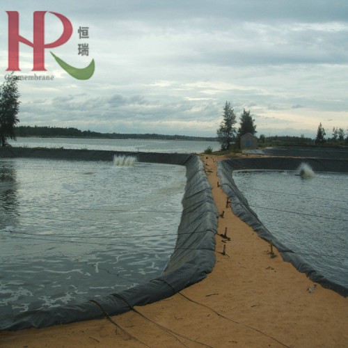 黑膜沼氣池0.6mm土工膜水產(chǎn)養(yǎng)殖池防滲1.5mm防滲膜廠家
