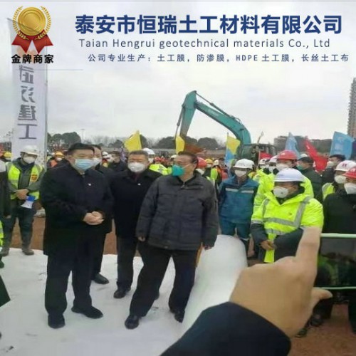 0.20mmHDPE土工膜 土工膜價格