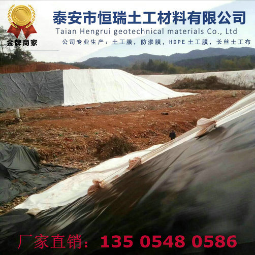 扶溝LLDPE土工膜工程造價(jià)低