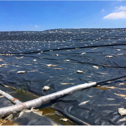 土工膜 HDPE糙面土工膜