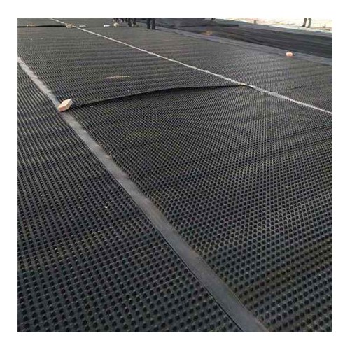 生產車庫塑料排水板 排水板廠家