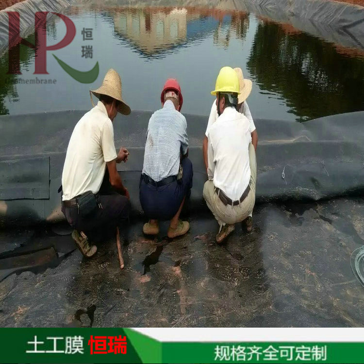 牧場(chǎng)沼液池防滲土工膜 600g長(zhǎng)絲土工布 防滲膜養(yǎng)黃鱔