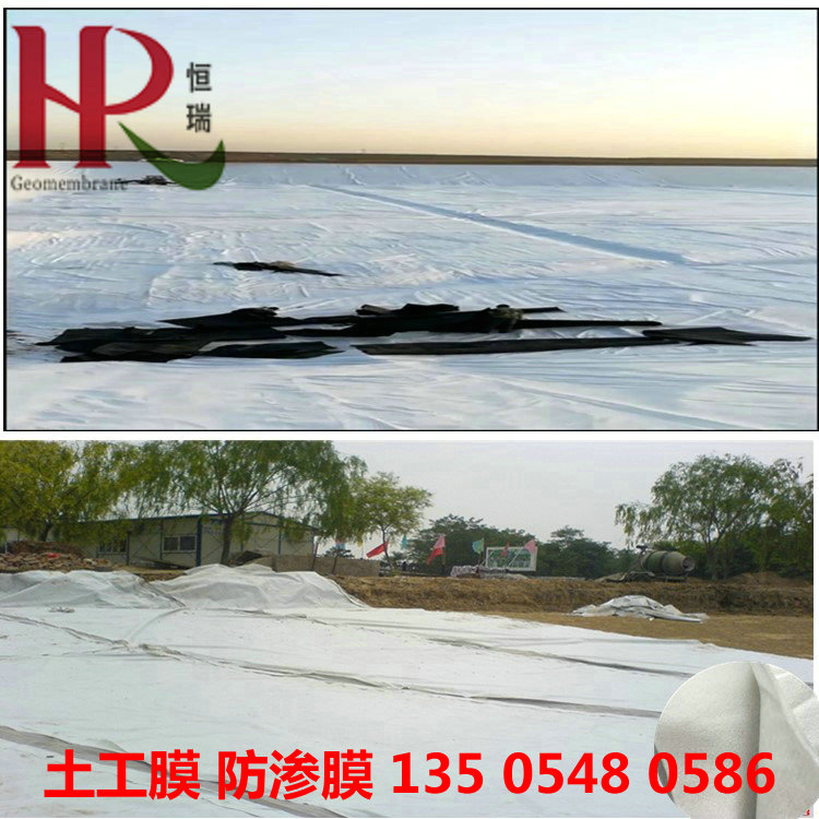 600g長(zhǎng)絲土工布 垃圾覆蓋土工膜 水蛭防滲膜