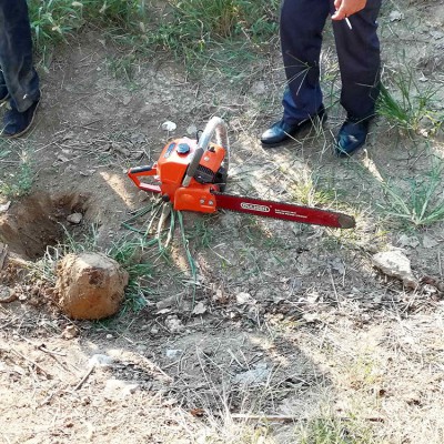 樂(lè)民牌斷根移苗機(jī) 鏟式起樹(shù)機(jī) 手提式苗木斷根機(jī) 苗圃挖樹(shù)機(jī)