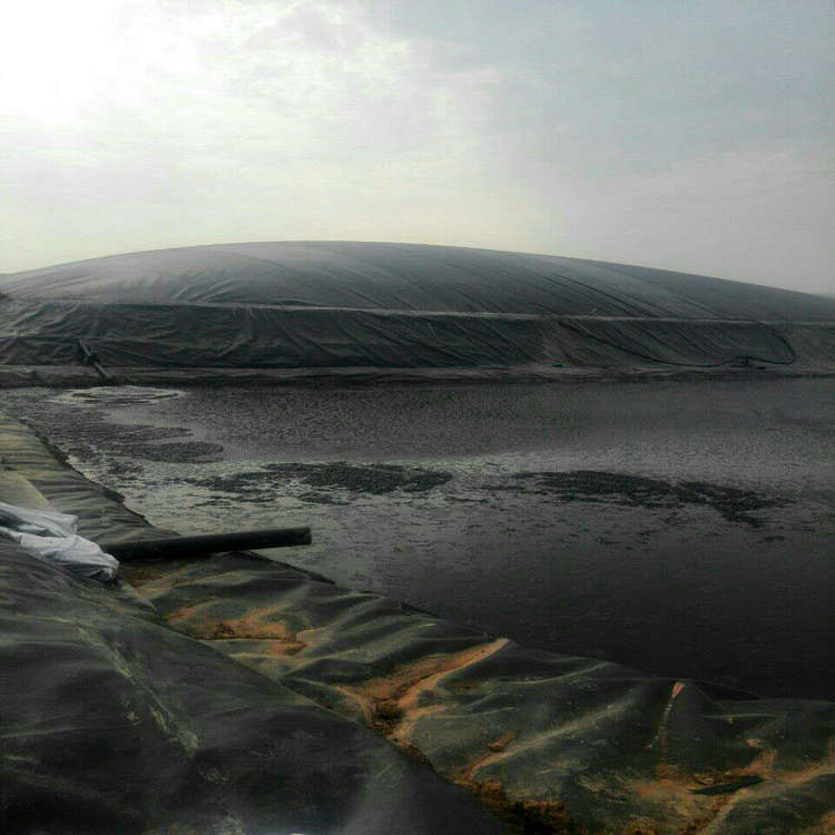 污水管道內(nèi)襯防滲膜 0.30mmHDPE防滲膜廠家自產(chǎn)自銷