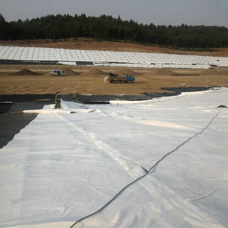 成都復(fù)合土工膜 油罐基礎(chǔ)防滲膜 鈉基膨潤土防水毯。