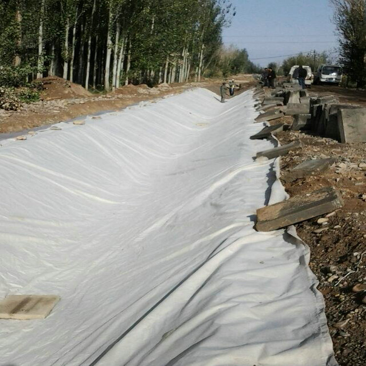 滲濾液調(diào)節(jié)池襯墊防滲2mm防滲膜精選廠家