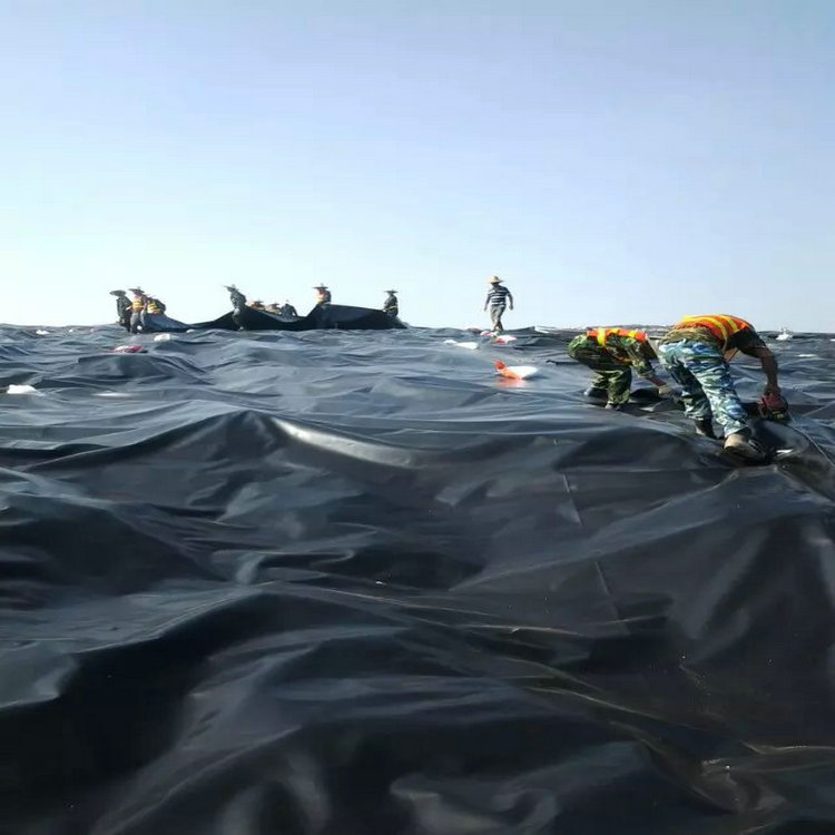 防水土工布防滲膜 人工湖防滲膜 防滲膜錦鯉池