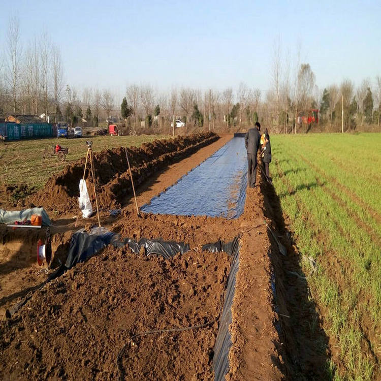 臨夏復(fù)合土工膜 600g長絲土工布 耐腐蝕土工膜