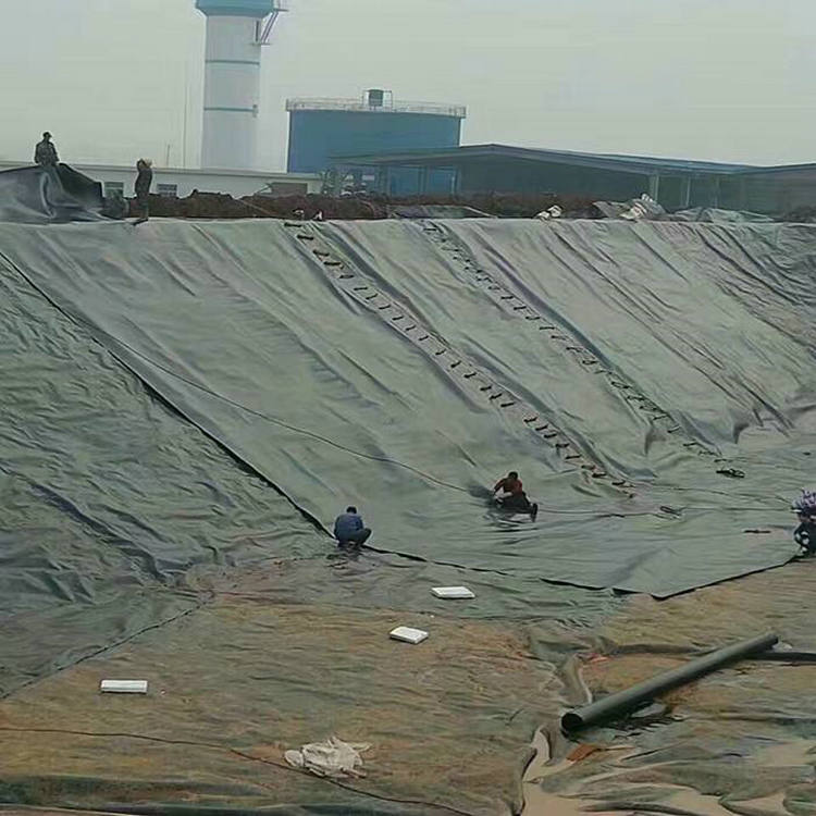 飲用水池土工膜 0.75mmHDPE土工膜性能穩定