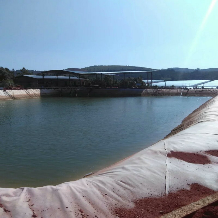 磷渣場基礎防滲1mm土工膜廠家自產(chǎn)自銷