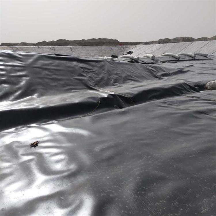 臨夏復(fù)合土工膜 600g長絲土工布 耐腐蝕土工膜