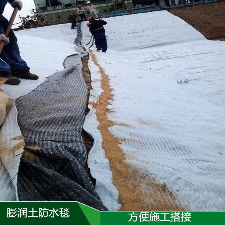 臨夏復(fù)合土工膜 600g長絲土工布 耐腐蝕土工膜