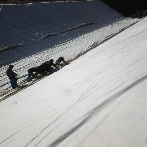 新余復合土工膜 500g復合土工膜貨真價實