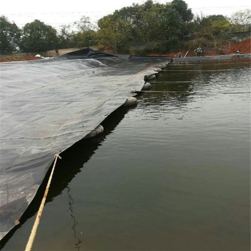 棗莊hdpe土工膜廠家 hdpe防滲膜 復合. 危險固廢填埋場防滲土工膜