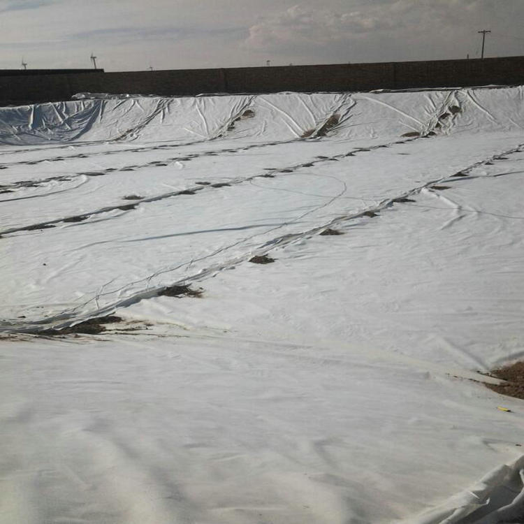 油田攔油土壩防滲2mm土工膜貨源充足