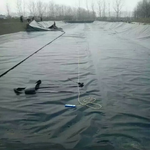 雪蓮種植防滲膜廠家批發