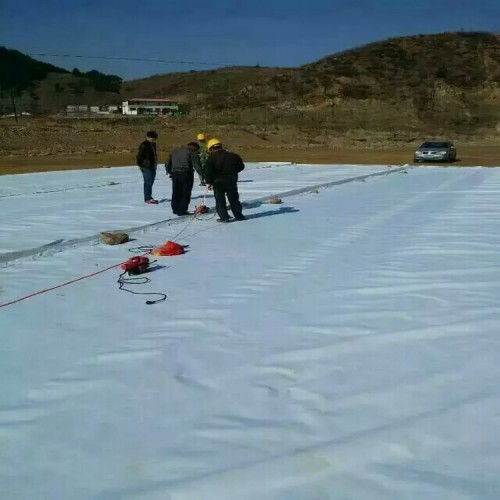 復(fù)合土工膜生產(chǎn)廠家 養(yǎng)殖土工膜 土工膜 水利渠道防滲膜