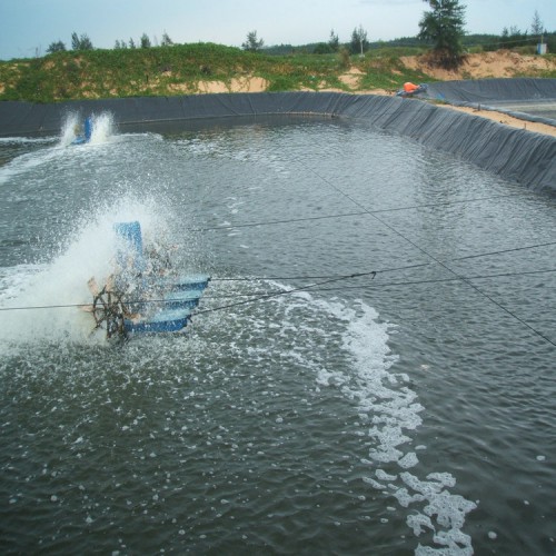 藕池防滲膜價(jià)格性能穩(wěn)定