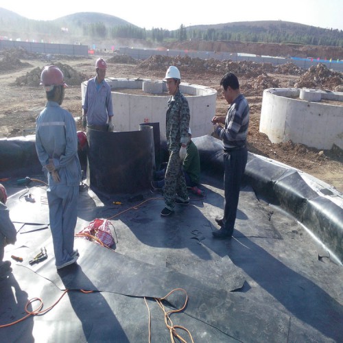 蓮藕防滲膜水混養(yǎng)技術(shù) 0.75mm防滲膜性能穩(wěn)定