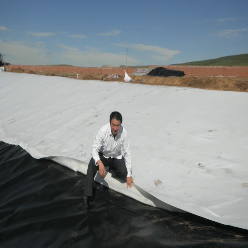 蕪湖200g/0.4mm/200g兩布一膜 防滲膜批發(fā) 垃圾場(chǎng)聚乙烯土工膜