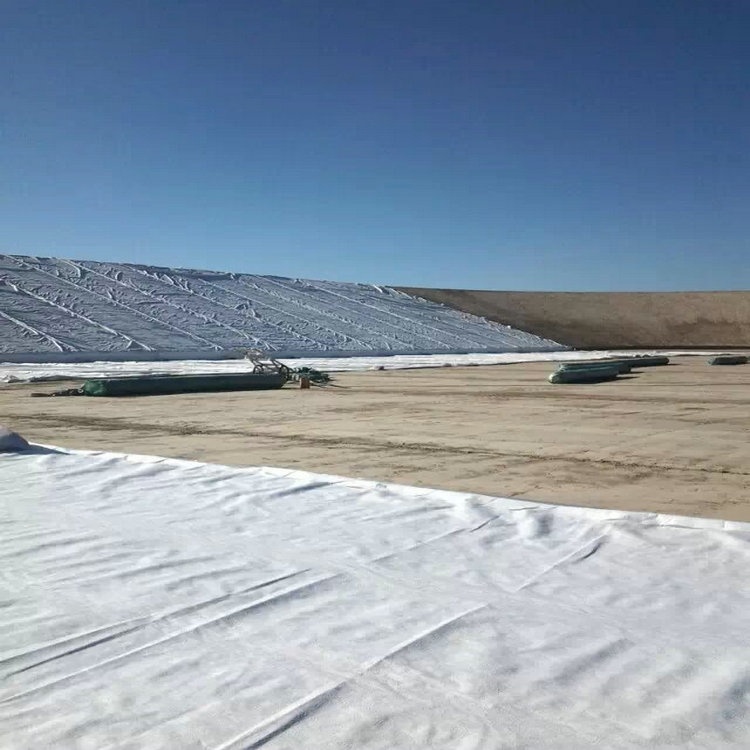 河源養(yǎng)豬場(chǎng)厭氧塘毛面HDPE土工膜 厭氧發(fā)酵池防滲膜 灰壩土工膜價(jià)格