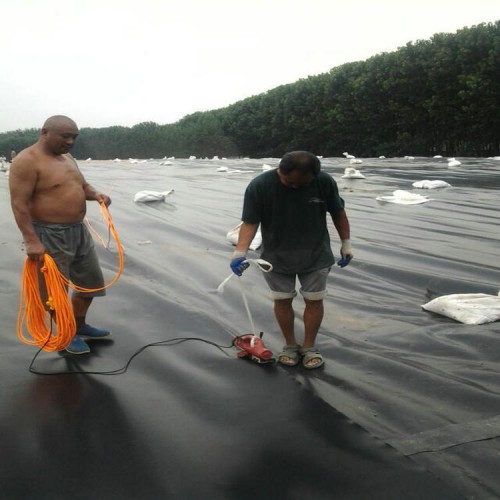 垃圾填埋場調節池浮蓋材料HDPE防滲膜廠家批發