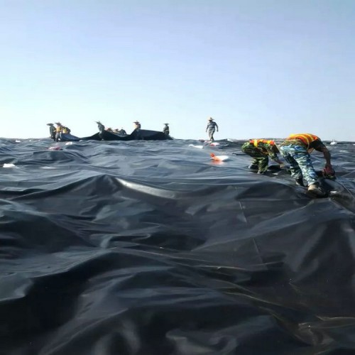 景觀園林水系土工膜 0.7mmHDPE防滲膜生產廠家