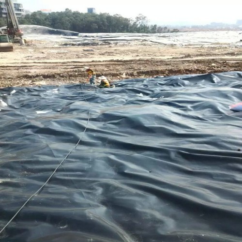 hdpe防滲膜價格 復合土工膜填埋場土工膜