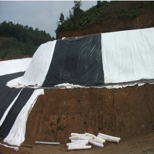 防滲膜防水生產廠家