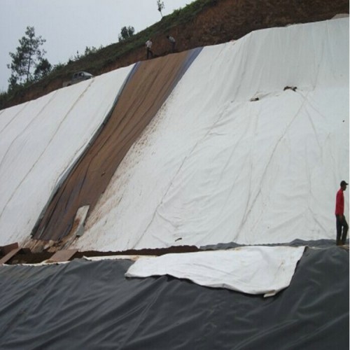 廣州養(yǎng)豬場沼液池雙色土工膜 防滲土工布復(fù)合土工膜 西北引水渠道防滲HDPE土工膜