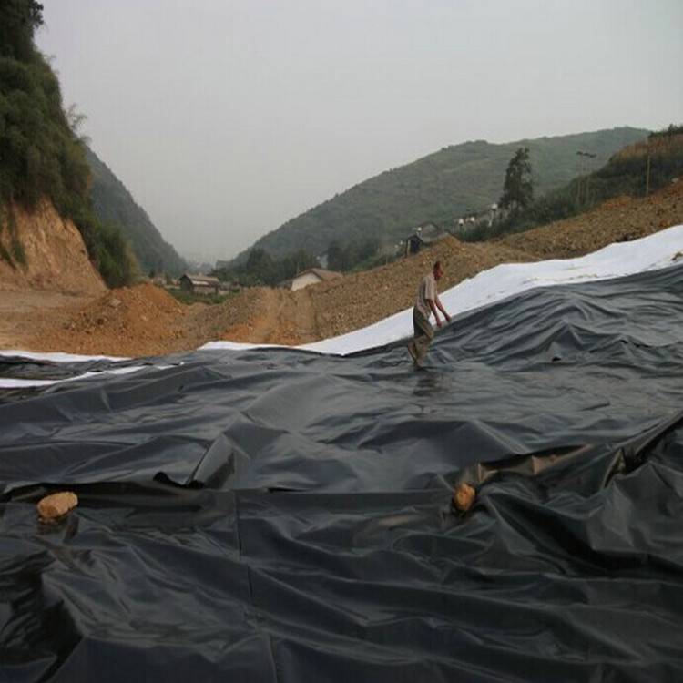養殖場污水池土工膜